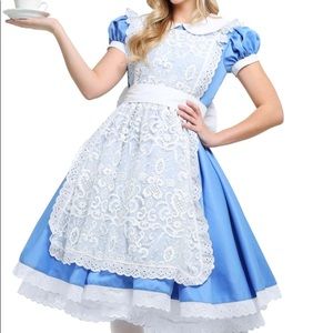 Alice in Wonderland costume and accessories